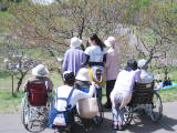 平岡樹芸センター