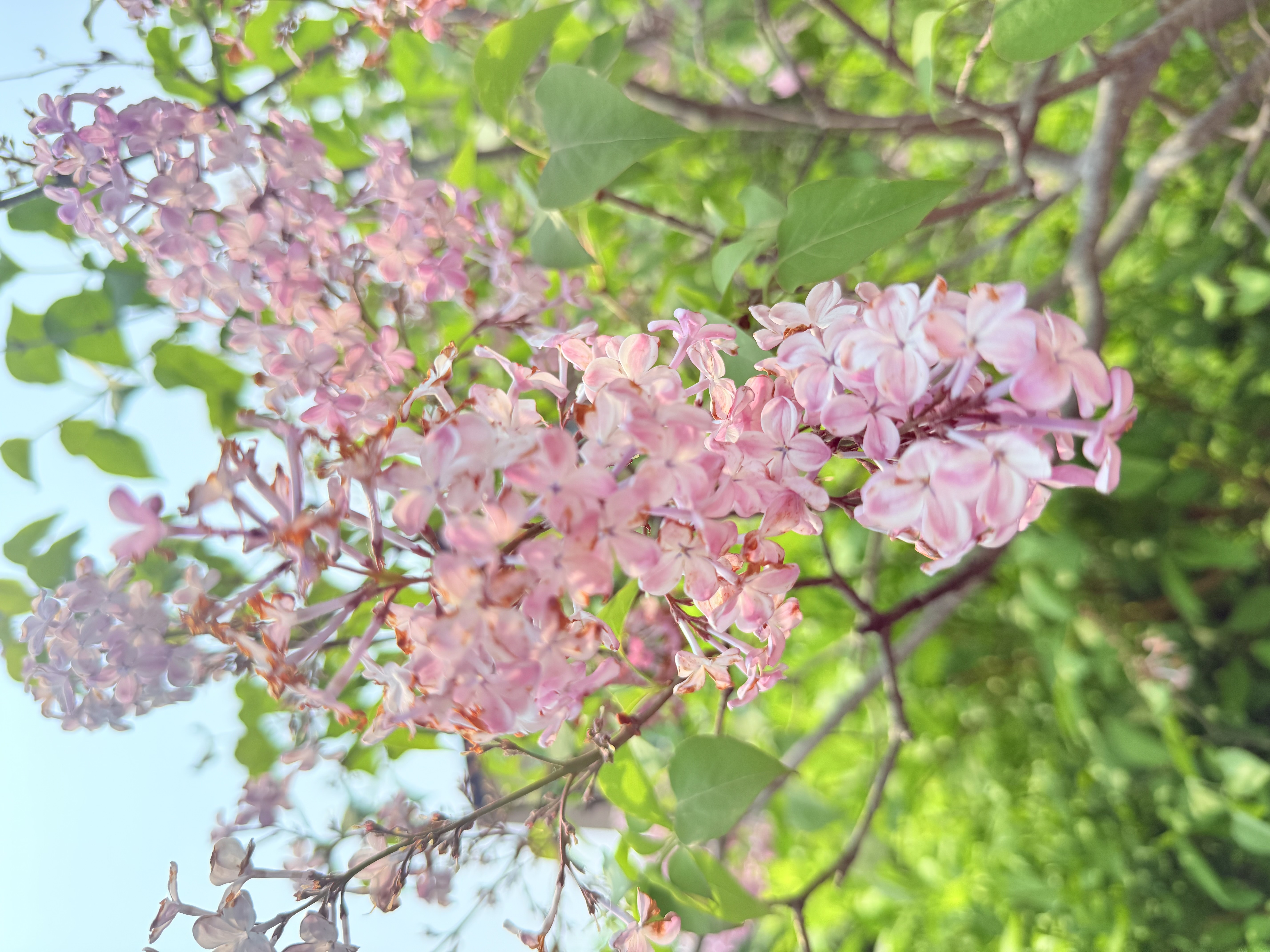 809D723F-0CED-457A-A715-9526FA7127B7.jpg
